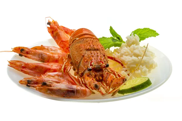 Langosta espinosa, gambas y arroz — Foto de Stock