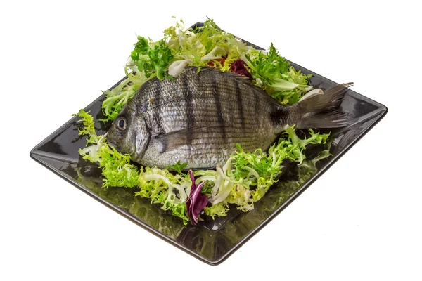 Raw Tilapia — Stock Photo, Image