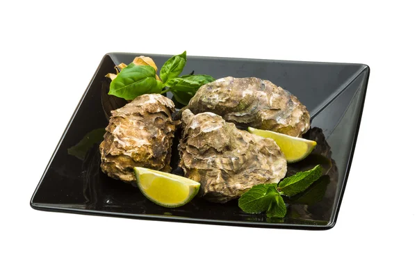 Fresh oyster — Stock Photo, Image