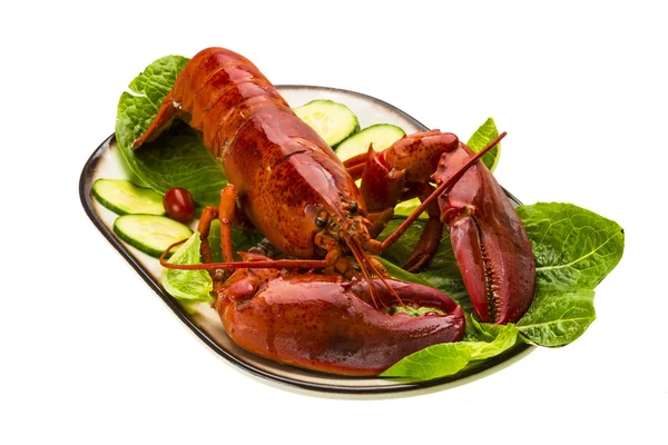 Large Lobster — Stock Photo, Image