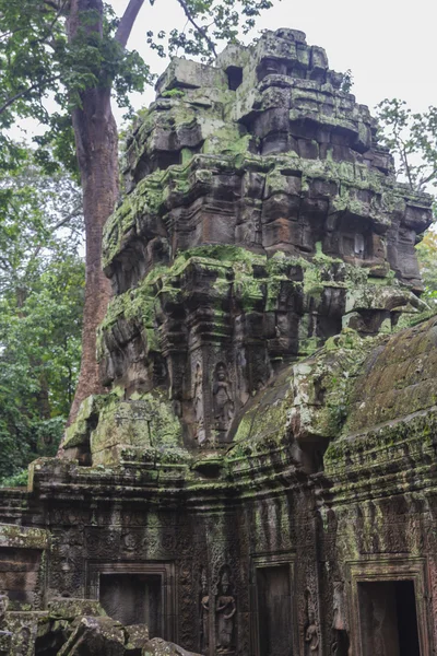 Complexo angkor wat — Fotografia de Stock