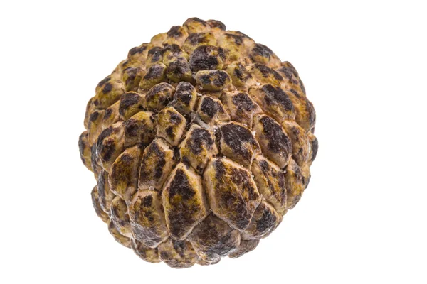 Custard-apple — Stock fotografie