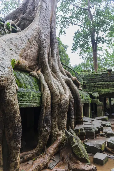 Angkor Wat complex — Stock Photo, Image