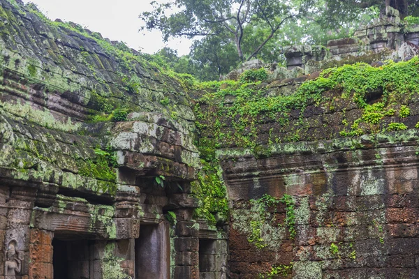 Angkor wat komplex — Stockfoto