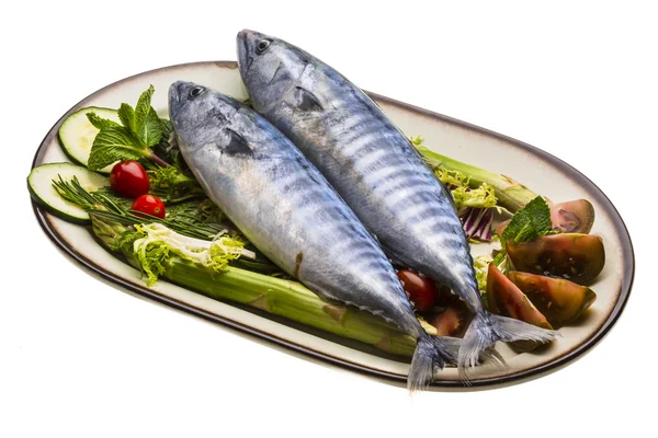 Φρέσκα atlanticmackerel — Φωτογραφία Αρχείου