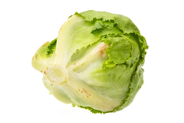 Salade ijsberg — Stockfoto