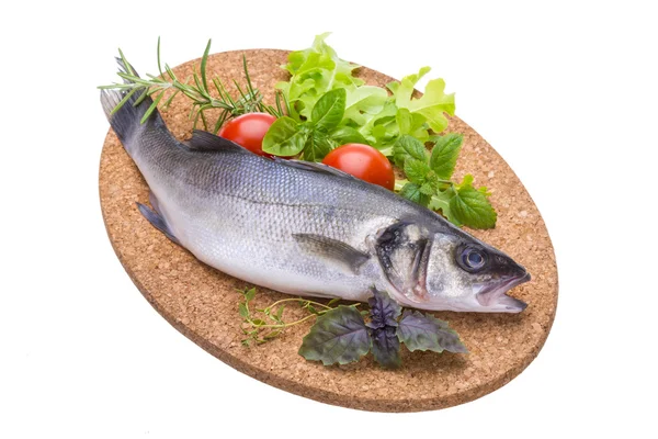 Raw seabass — Stock Photo, Image