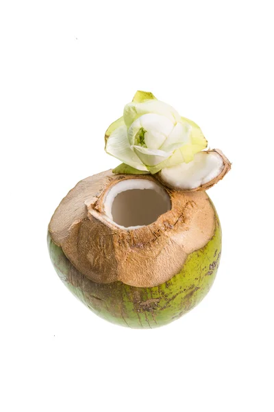 Coconut — Stock Photo, Image