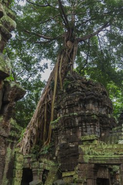 Angkor wat karmaşık