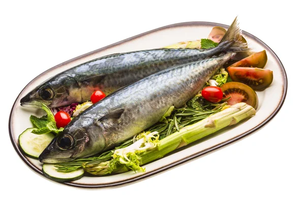 Sardinas crudas del Atlántico —  Fotos de Stock