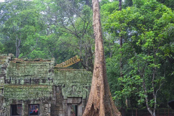 Angkor wat karmaşık — Stok fotoğraf