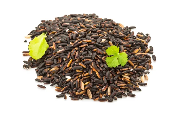 Arroz glutinoso negro — Foto de Stock