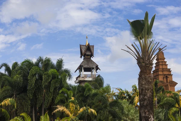 Nong nooch tropische tuin — Stockfoto