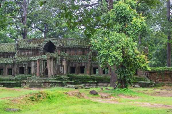 Angkor Wat complex — Stock Photo, Image