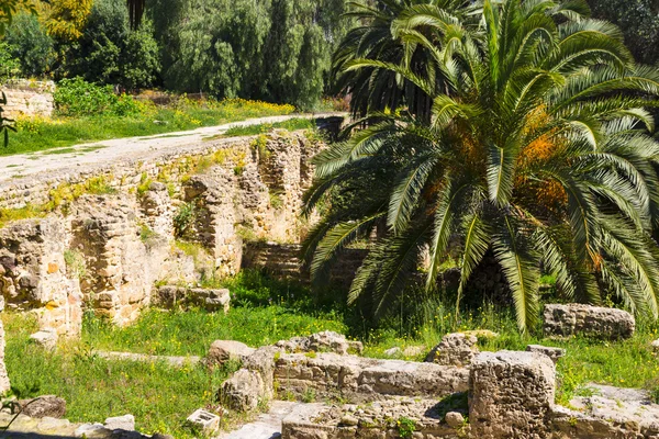 Oude ruïnes Carthago — Stockfoto