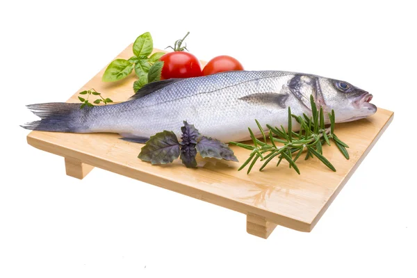 Raw seabass — Stock Photo, Image