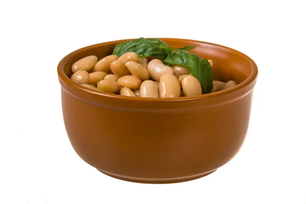 Tinned white bean — Stock Photo, Image