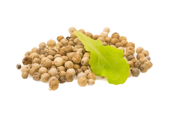 White pepper — Stock Photo, Image