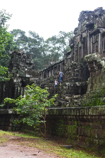 Complexo angkor wat — Fotografia de Stock