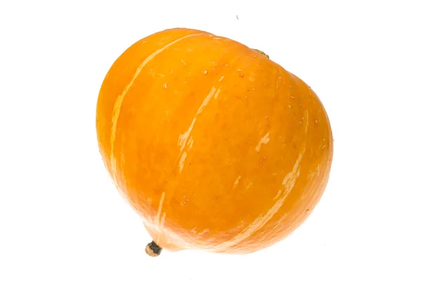 Calabaza madura — Foto de Stock