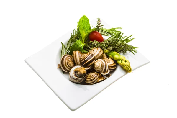 Escargot aux asperges, romarin, thymus et tomate — Photo