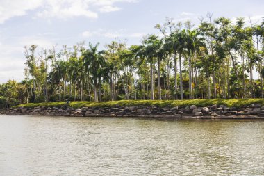 Nong nooch tropikal Bahçe