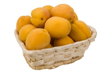 parlak sarı kayısı