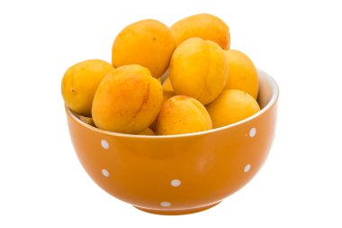 Yellow ripe apricots