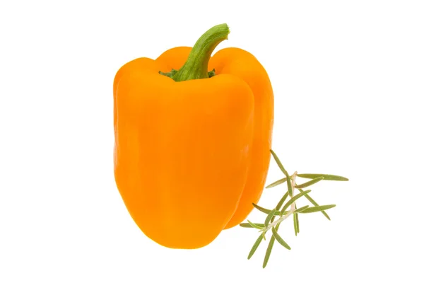 Oranje peper — Stockfoto