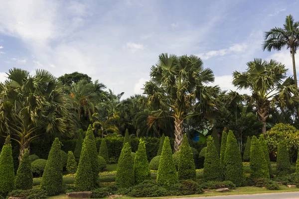 Nong nooch tropische tuin — Stockfoto