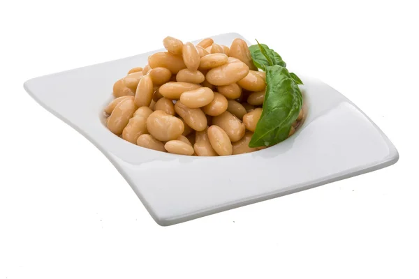 Konzervované fazole — Stock fotografie