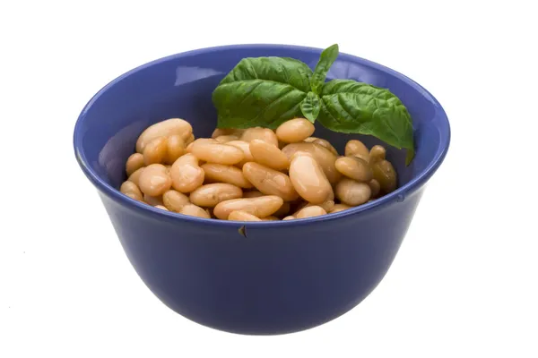 Fagioli in scatola — Foto Stock