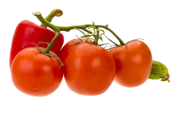 Paprika, rajče větev a okurka — Stock fotografie