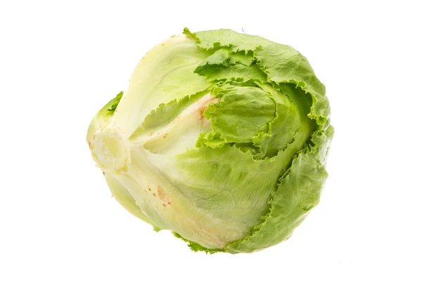 Jéghegy saláta — Stock Fotó