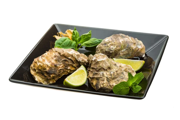 Fresh oyster — Stock Photo, Image