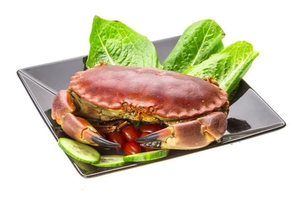 Raw crab — Stock Photo, Image