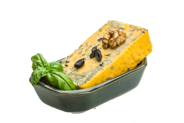 Guld ost med mögel — Stockfoto