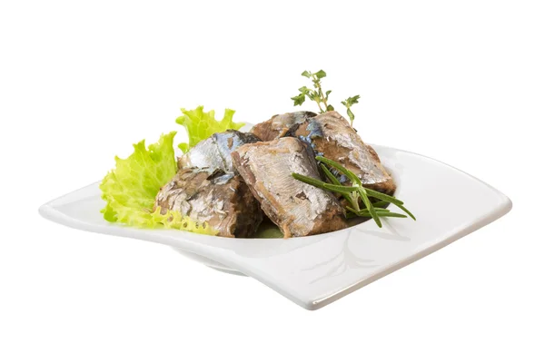 Saury del Pacifico — Foto Stock