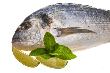 taze çiğ dorada