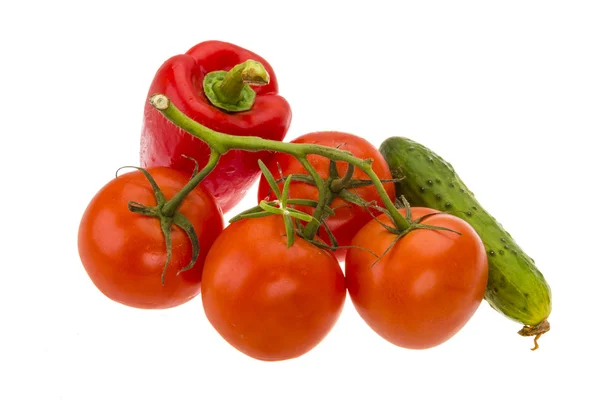 Paprika, Tomatenzweig und Gurke — Stockfoto