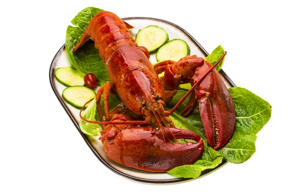 Grand homard — Photo