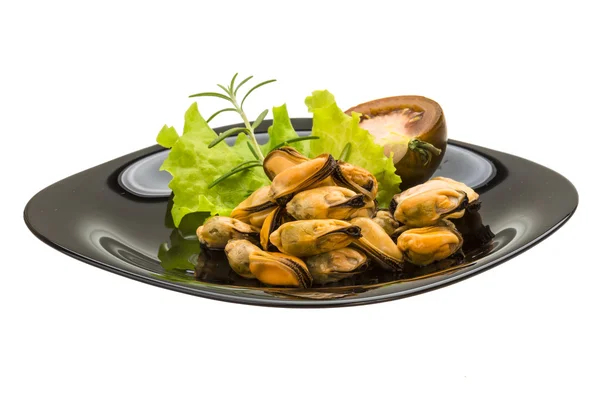 Mejillones marinados — Foto de Stock