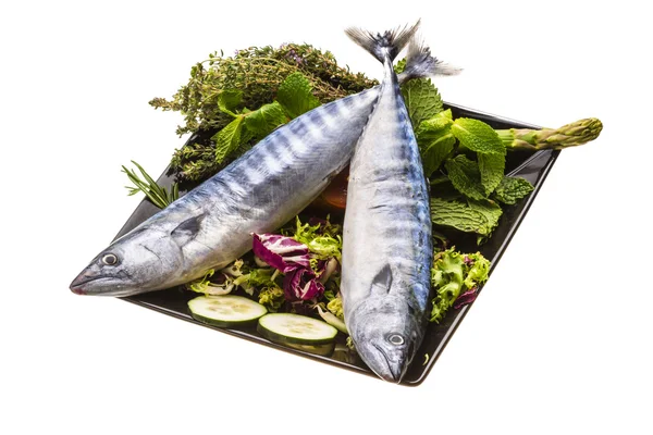 Färska atlanticmackerel — Stockfoto