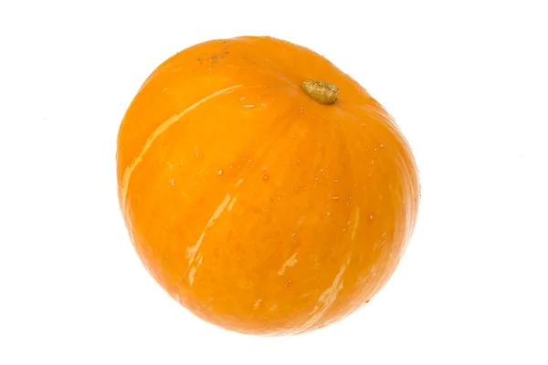 Calabaza madura — Foto de Stock