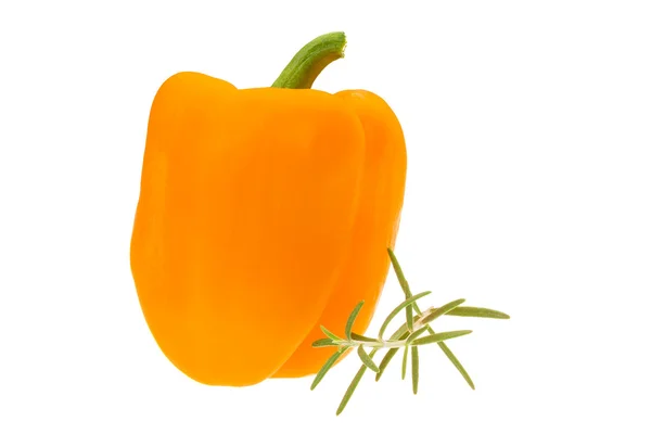 Oranje peper — Stockfoto