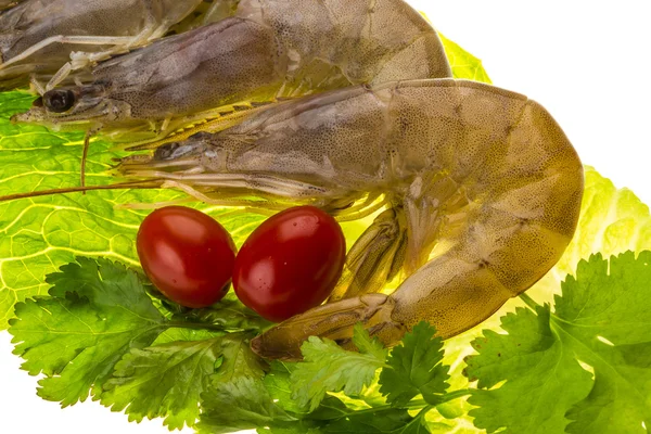 Grandi gamberetti crudi — Foto Stock