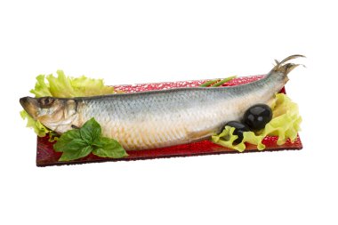 Tuzlanmış ringa balığı