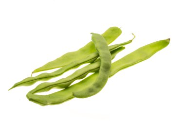 yeşil fasulye