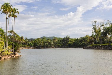 Nong nooch tropikal Bahçe
