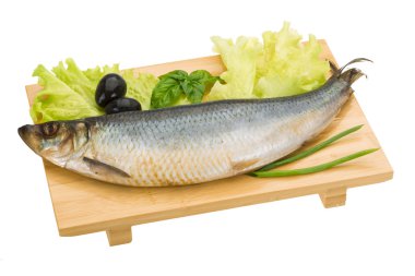 Tuzlanmış ringa balığı